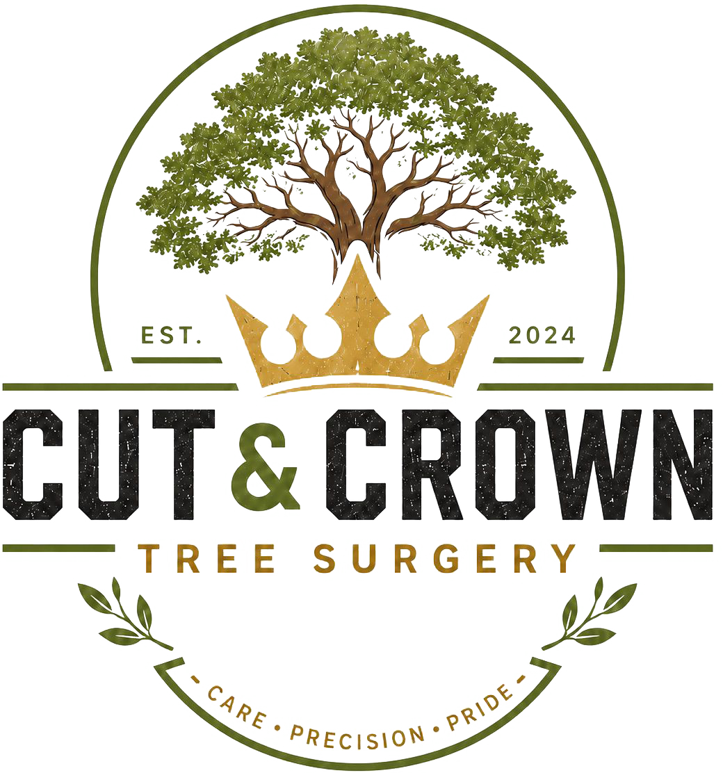 Tree Surgery Specialists in Luton